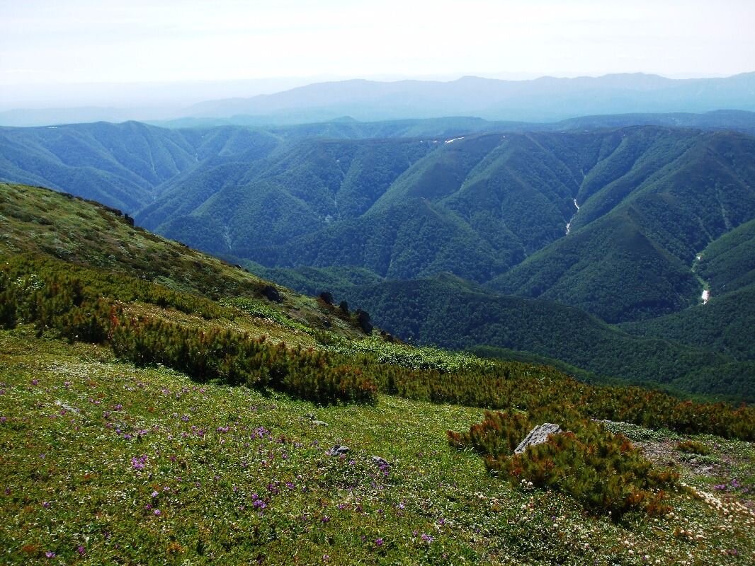 Хребет Даргендук