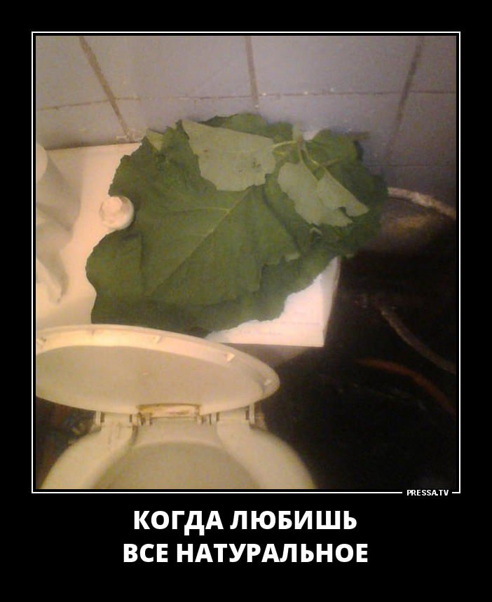 Фото из интернета.
