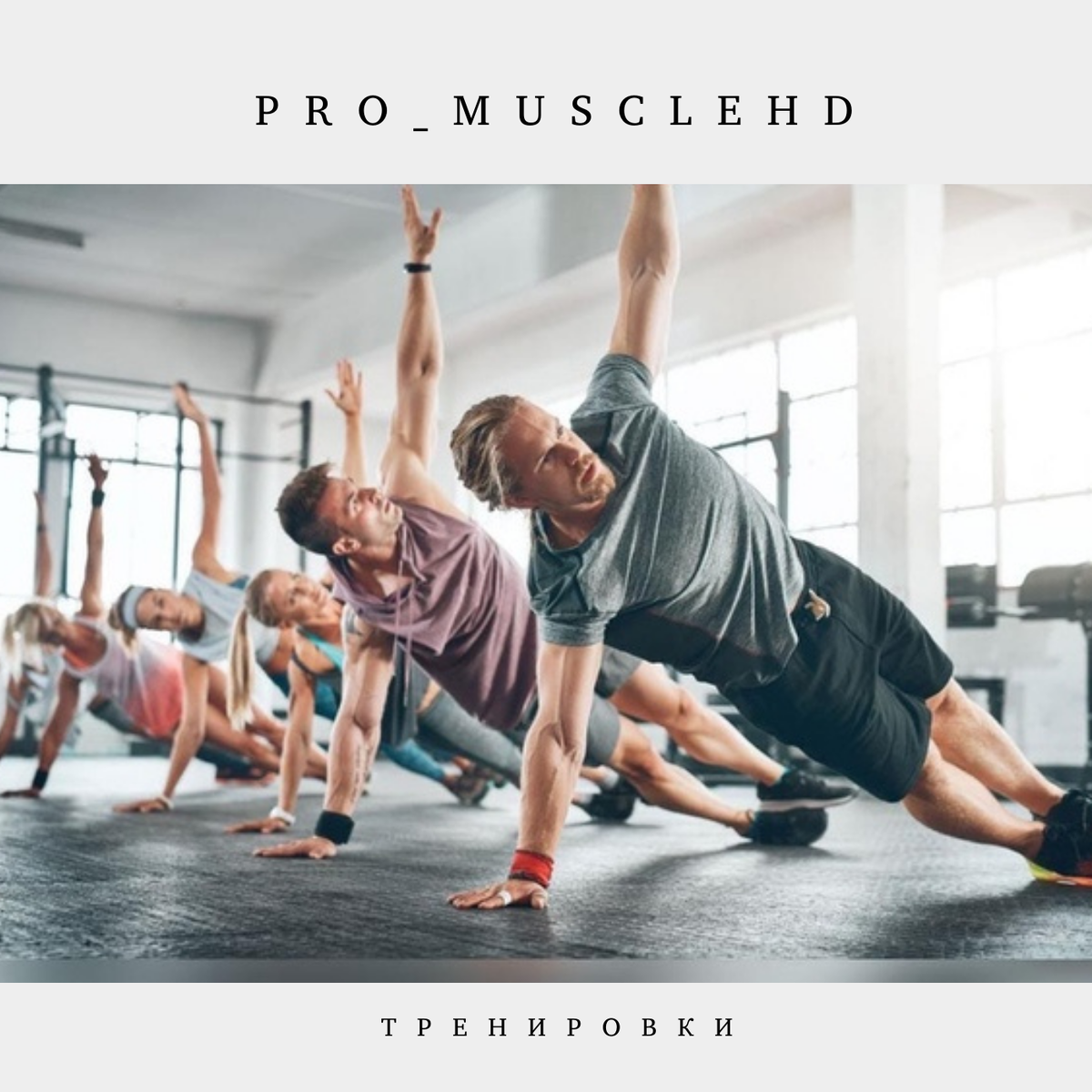 Pro_MuscleHD