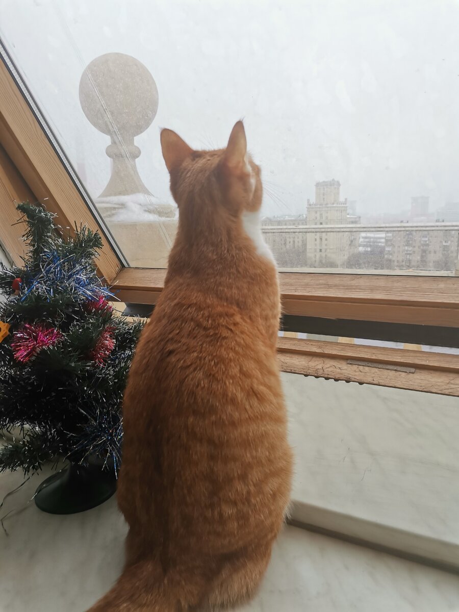 Весна, ты там скоро?