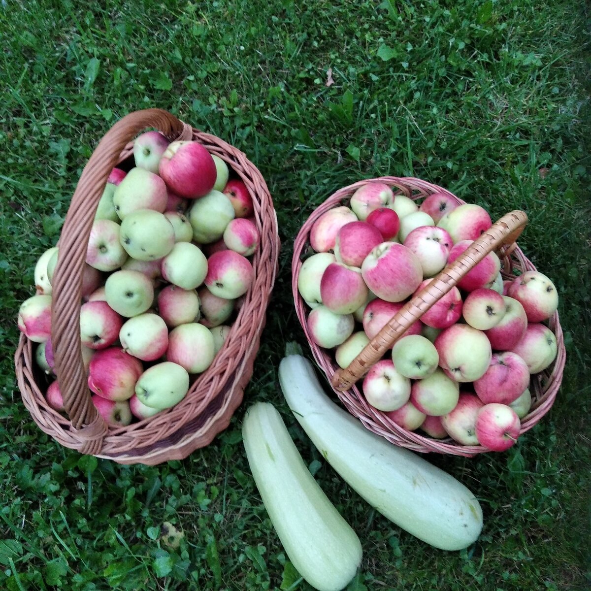 Мой философский камень работает!