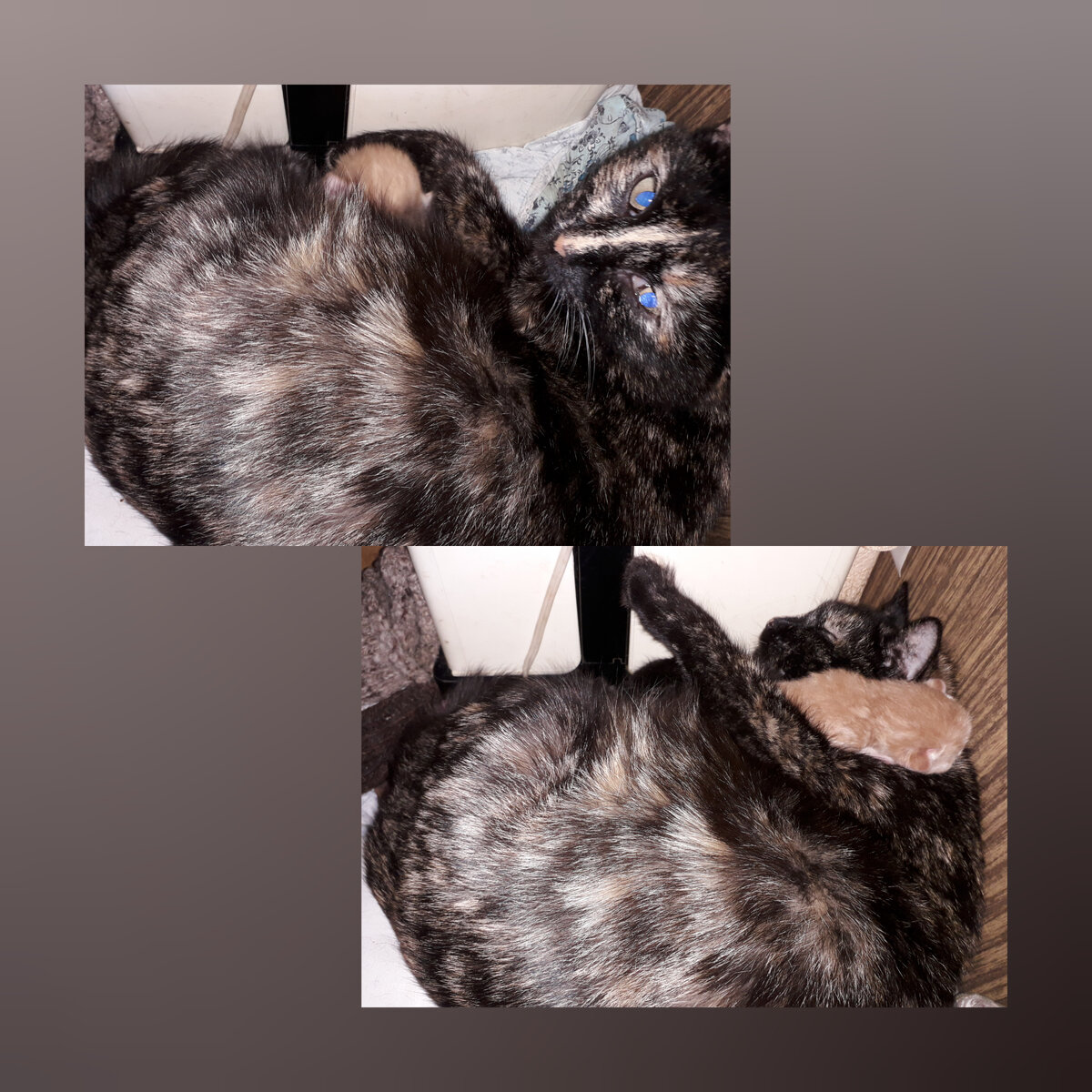 Матильда с сыном. 