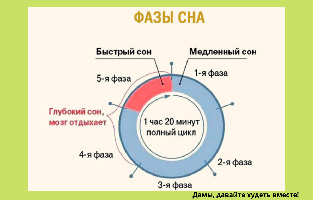 Продолжительность медленного сна