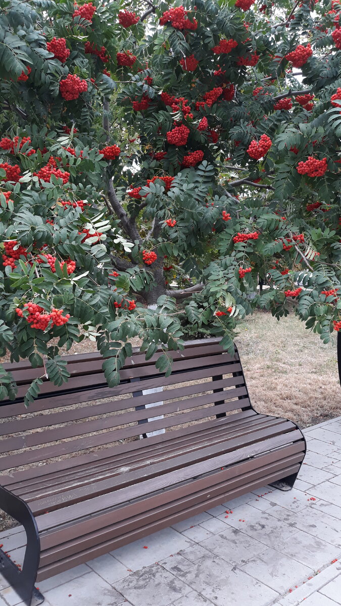 Красота и здоровье.