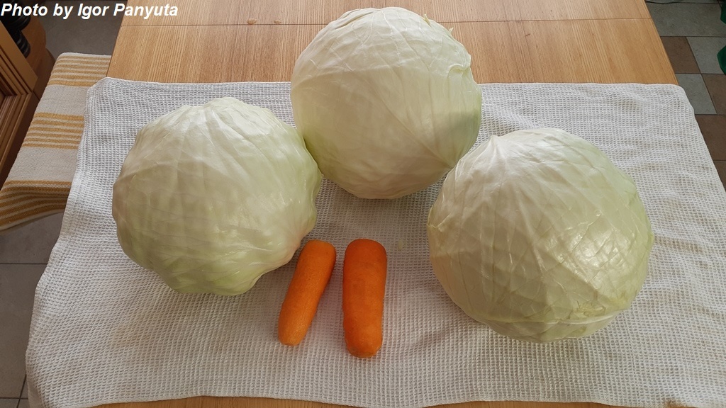 Капуста с морковью помыты и почищены