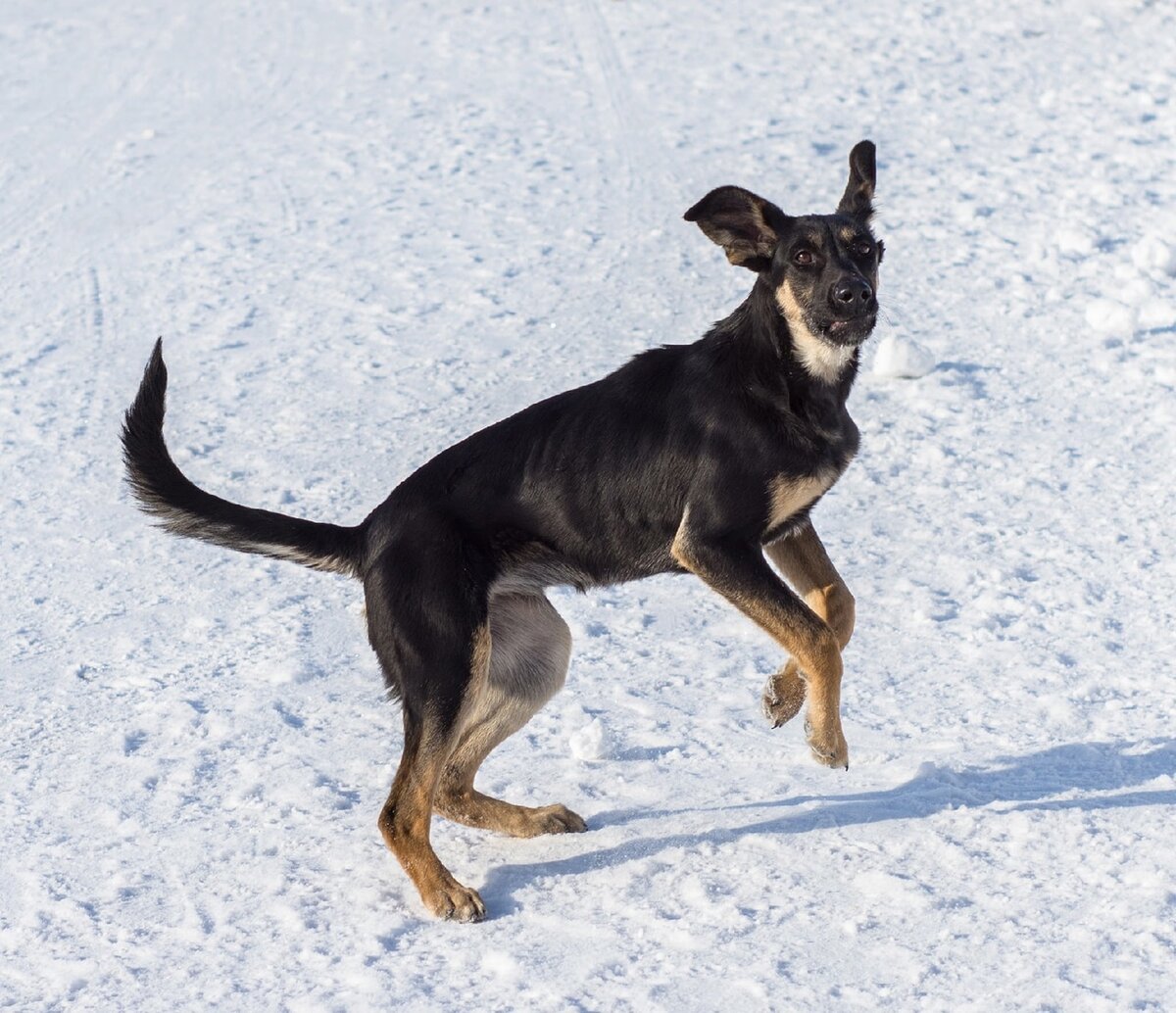 Найда тренируется