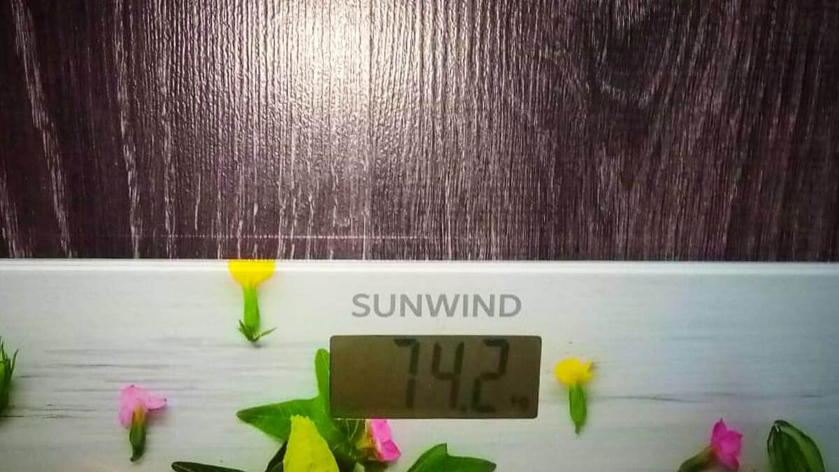 Фото автора.