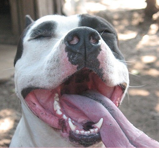 Мой АСТ - Каспер