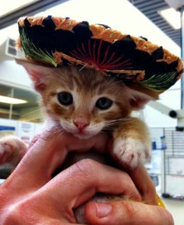 Мексиканец