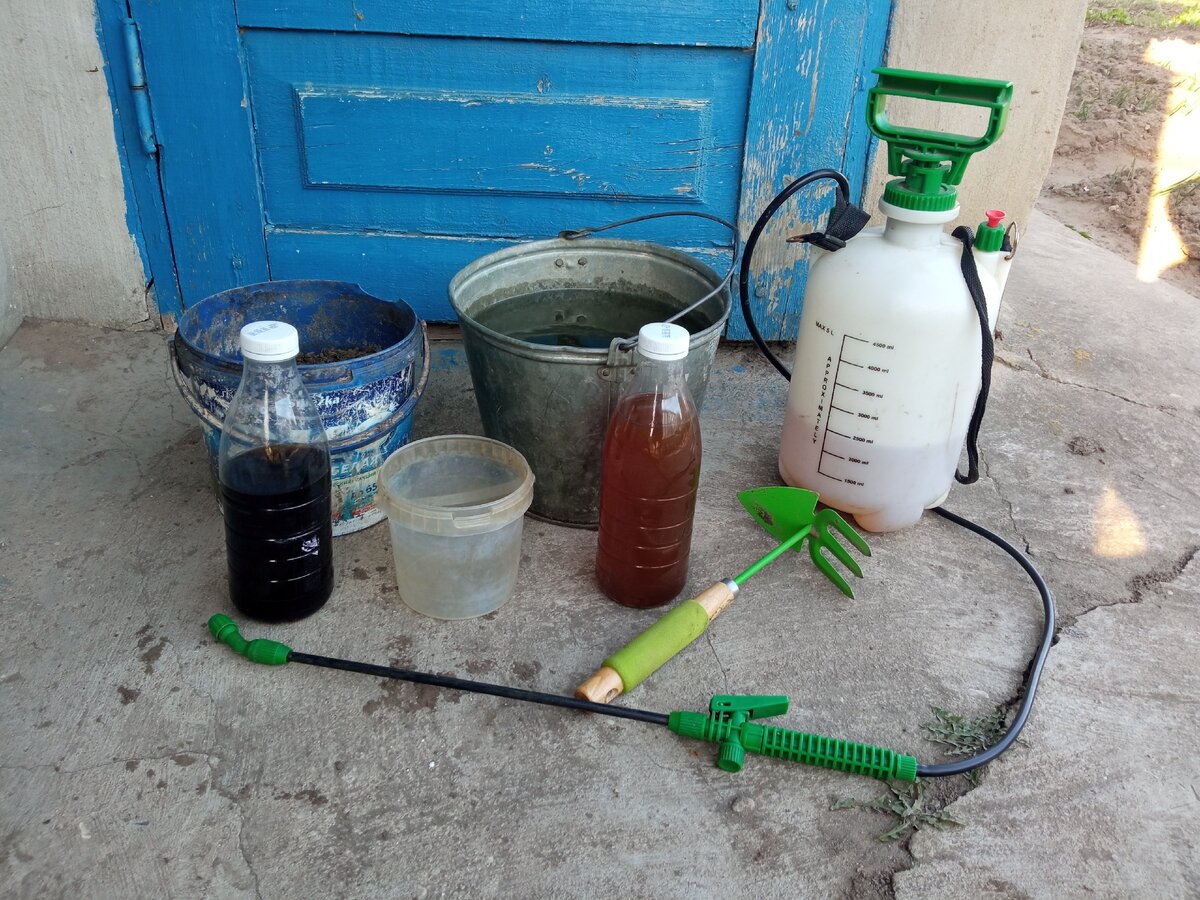 Подготовка к внекорневой подкормке