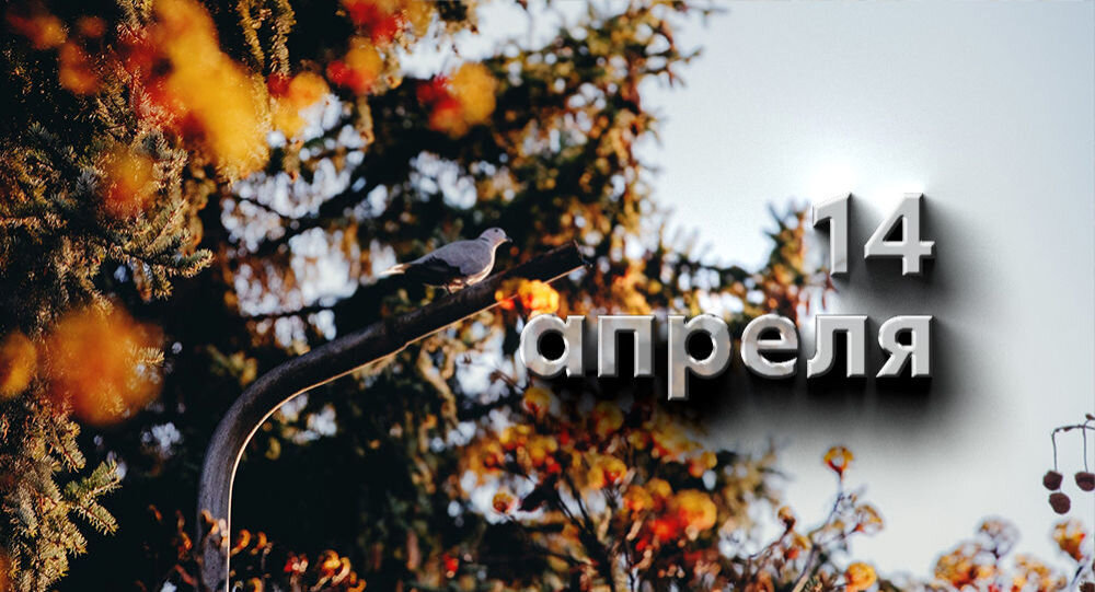 Дорогие друзья! Спешим сообщить вам радостную новость 🤩 ⠀
Поток на участие во Всероссийской Экологической Олимпиаде оказался очень велик, поэтому мы приняли решение продлить сроки проведения до 14 апреля включительно ☀
⠀
У вас есть еще целых два дня для того, чтобы принять участие в Олимпиаде и побороться за крутые призы. Скорее переходите по ссылке https://kind.school/olympiad и регистрируйтесь 👆🏻📝
⠀
А ребята, которые уже прошли задания, получат свои грамоты в личном кабинете после окончания первого тура 🤗