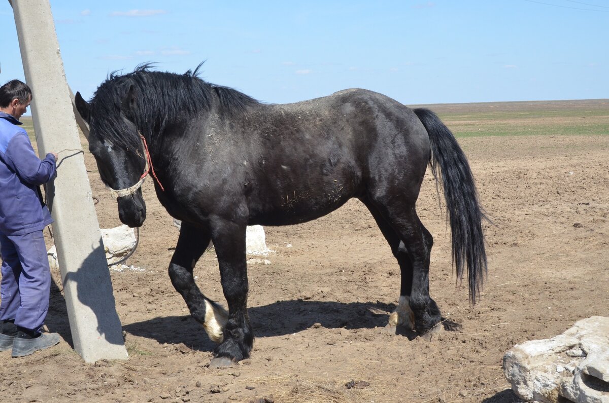 фото Fermer.ru ©