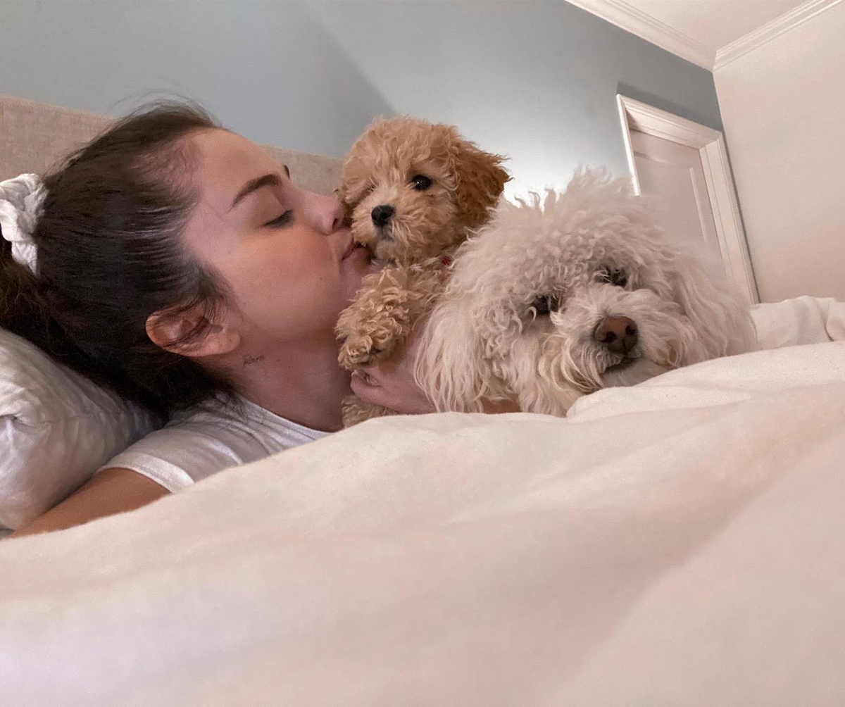 Селена с Дэйзи и Винни (Источник: twitter.com/selenagomez )