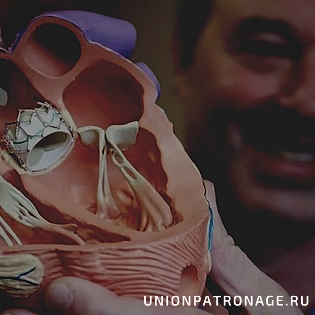 Фото взято из открытых источников 