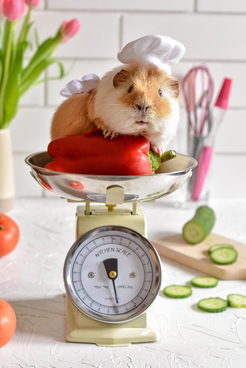 Фото из открытых источников. Взято на https://unsplash.com/