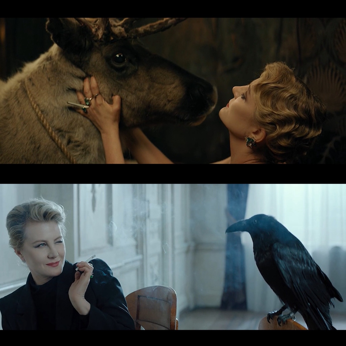 Органичная Рената и животные