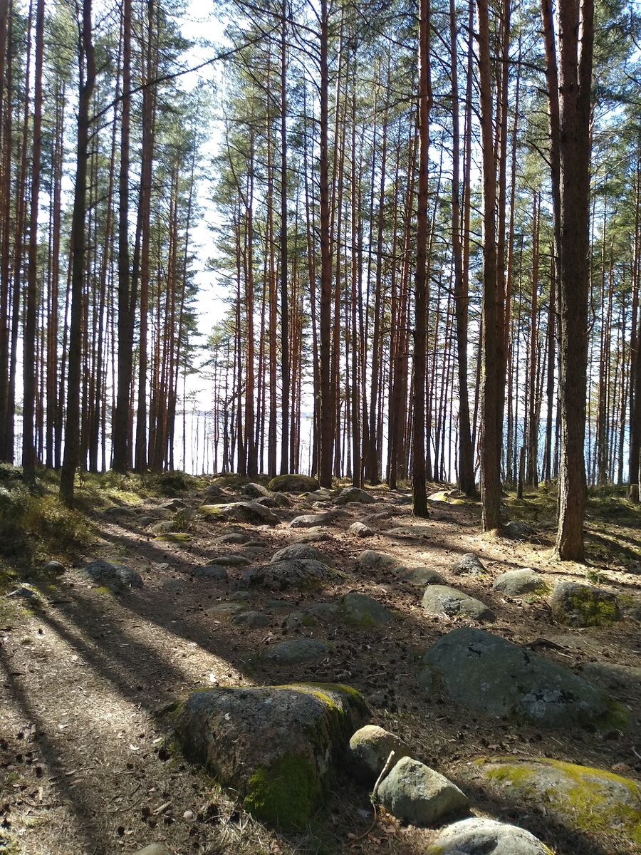 Дорога к камню желаний.