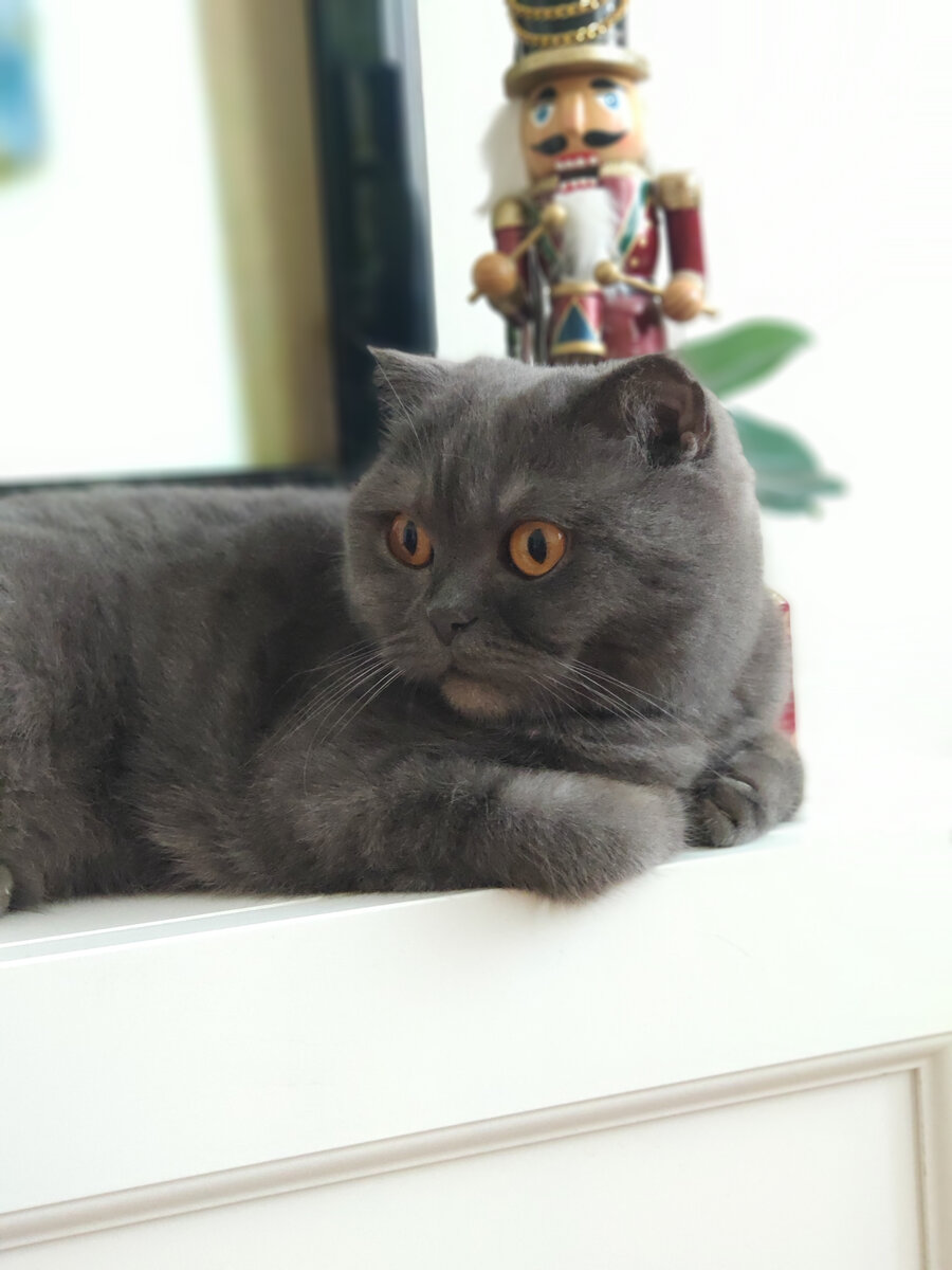 из личных архивов