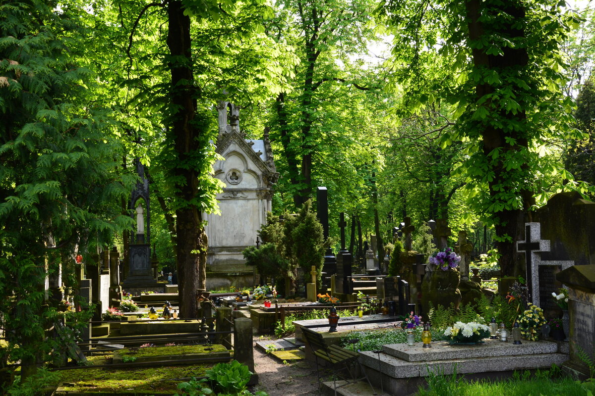 Кладбище / Фото из открытого источника // www.liveexpert.ru