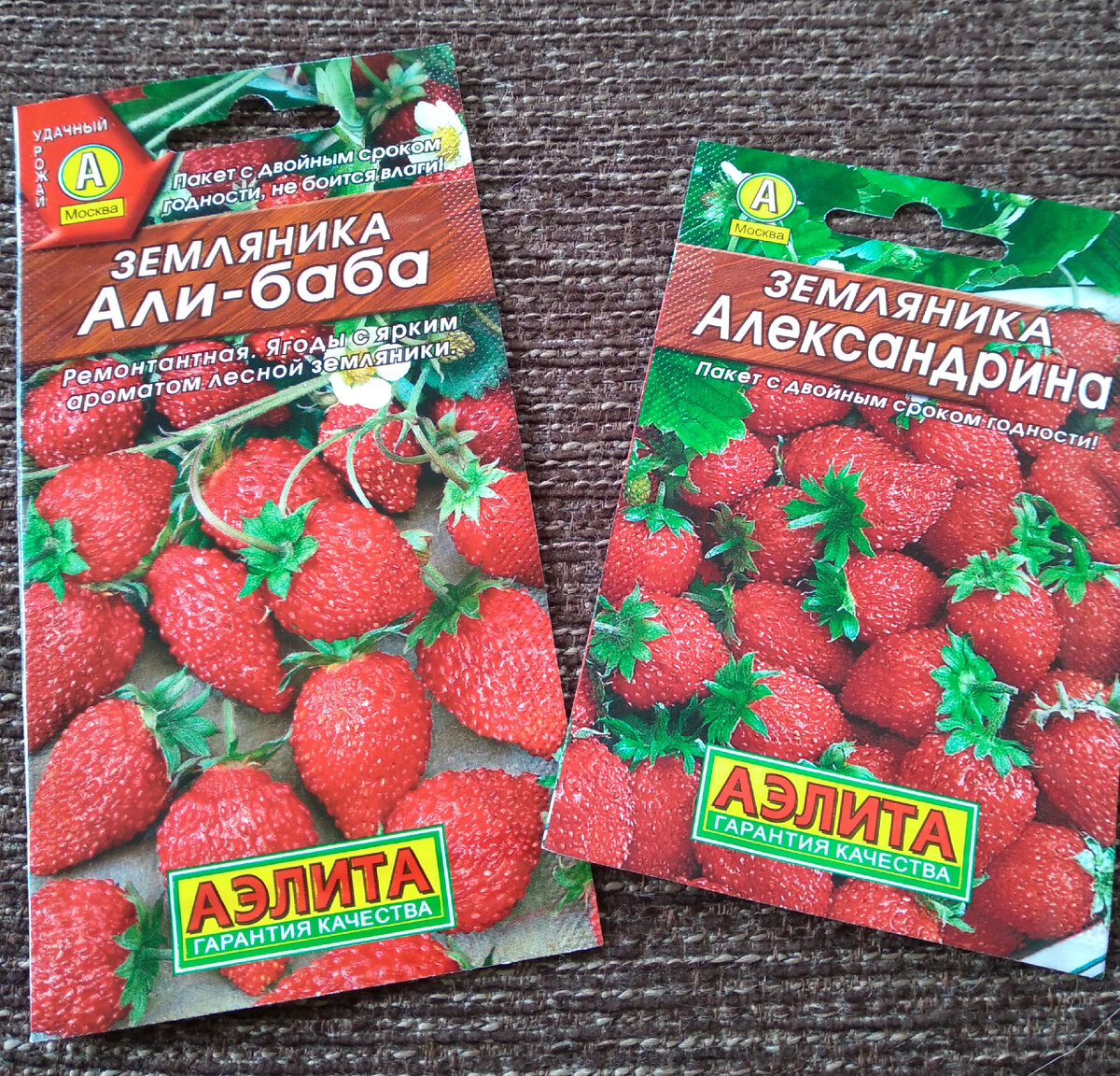 Для посадки выбрала два сорта земляники