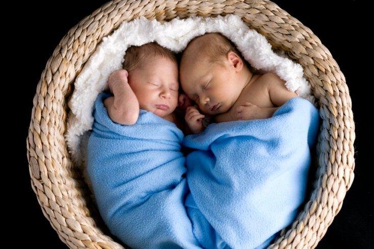 Фото из Яндекс. картинки бесплатно