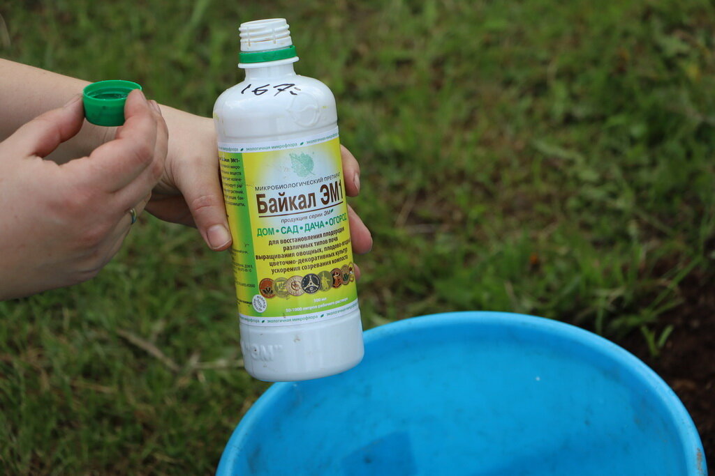 Байкал эм1 микробиологическое удобрение 500мл. Байкал применение для компоста. Байкал применение для компоста. Байкал эм 1 компост. Байкал применение для компоста.