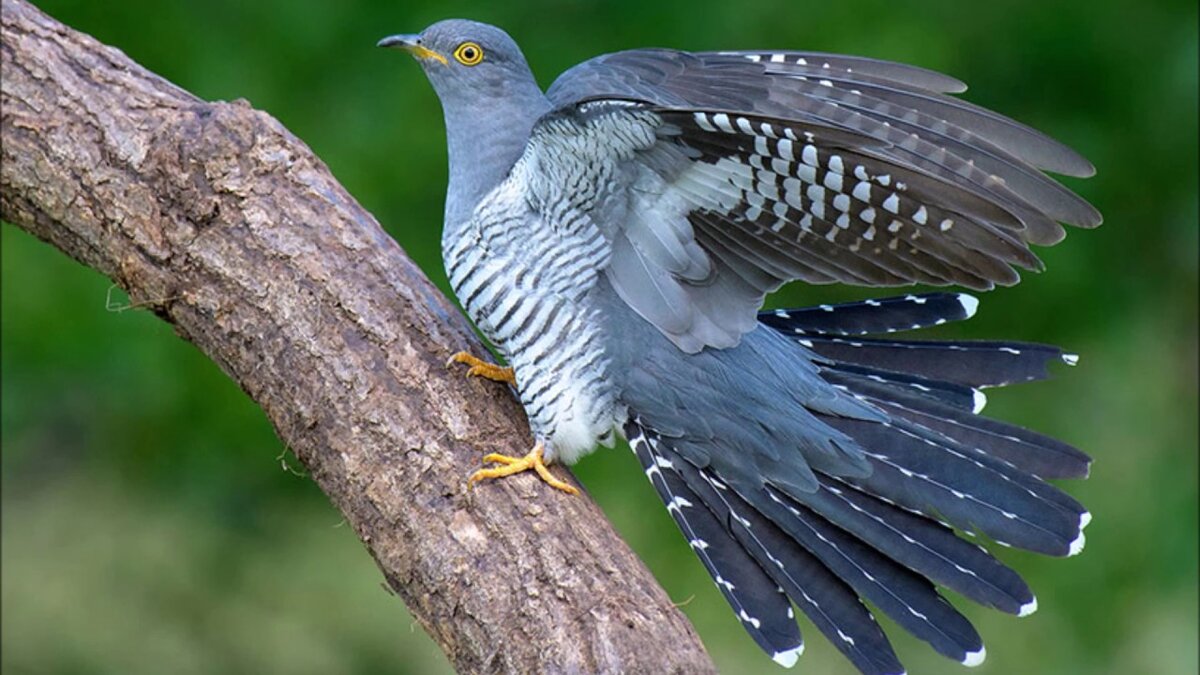 фото с сайта i.ytimg.com