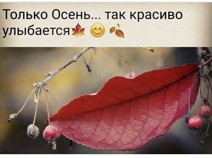 Фото из открытых интернет-источников