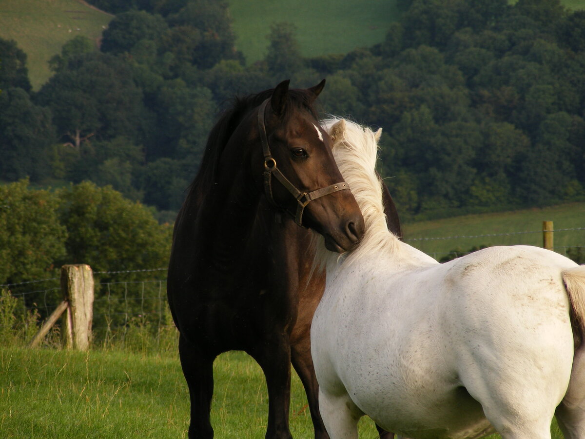 Лидер должен знать чего хочет, когда и зачем.