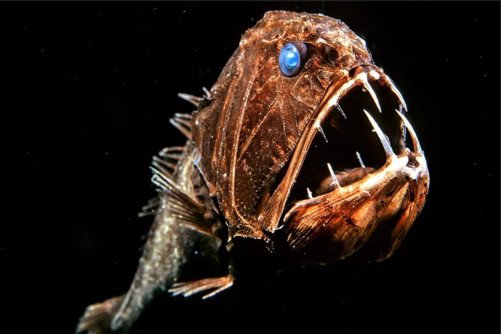 Длиннорогий саблезуб