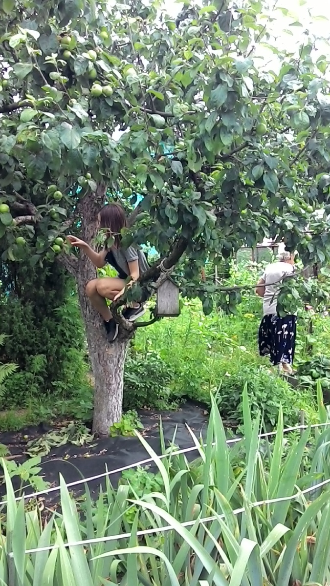 Дочке бабушка разрешила залезть на яблоню, такая вольность мне в моем детстве была непозволительна