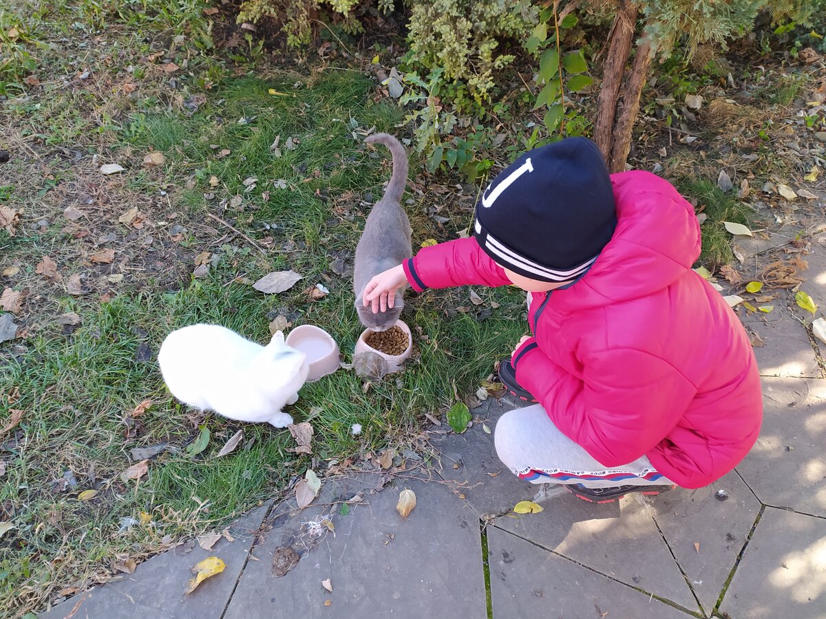 Фото автора Жизнь в деревне