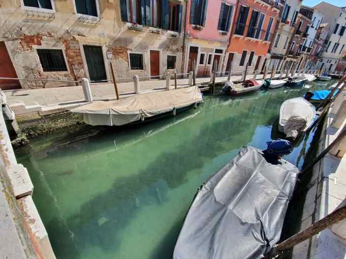 Источник фото: twitter.com