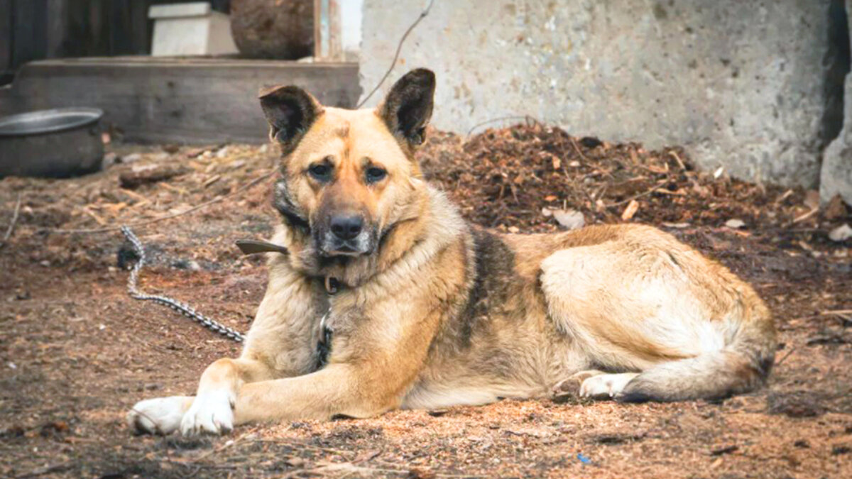 источник фото: fotokto.ru