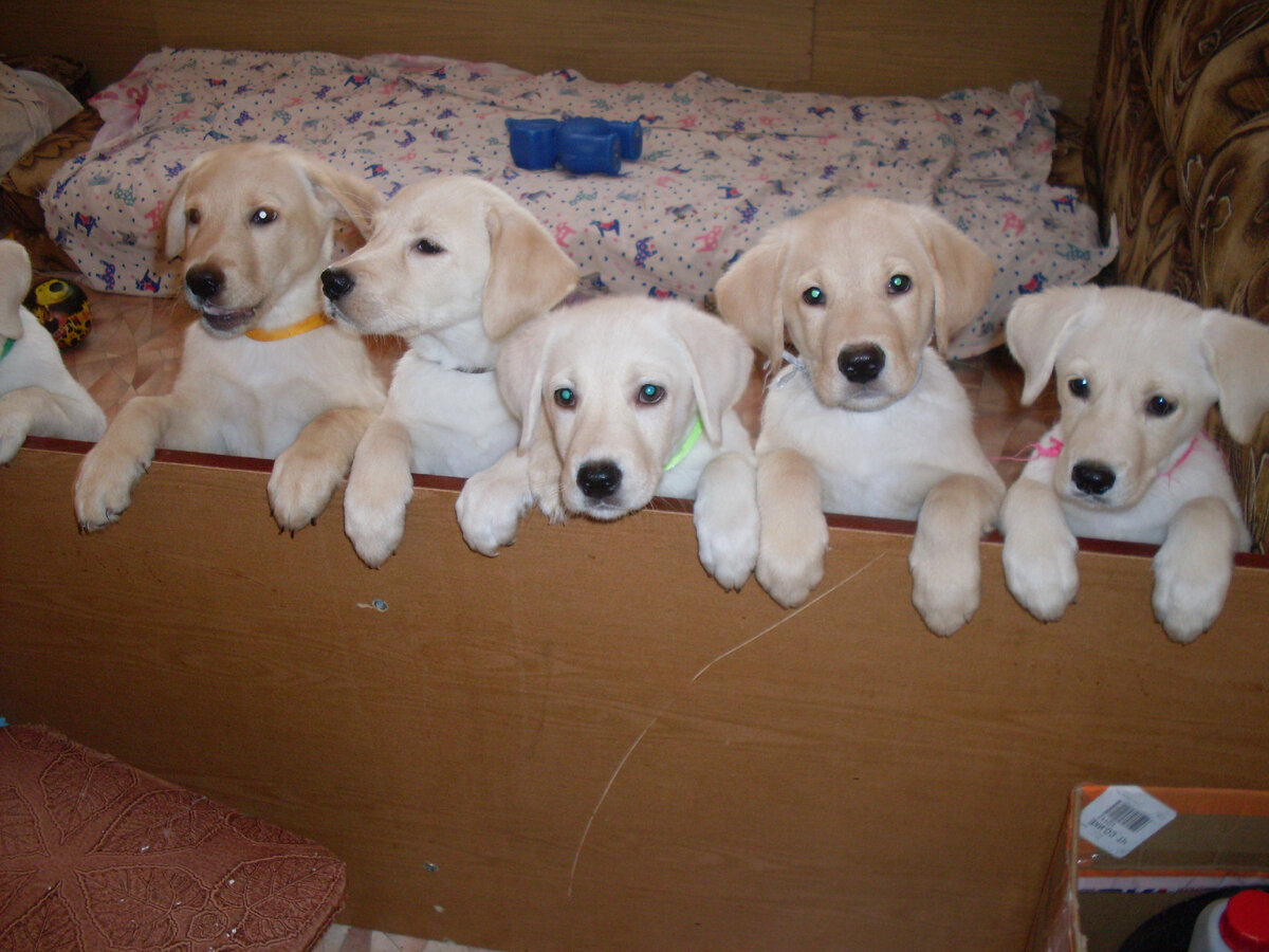 Фото автора