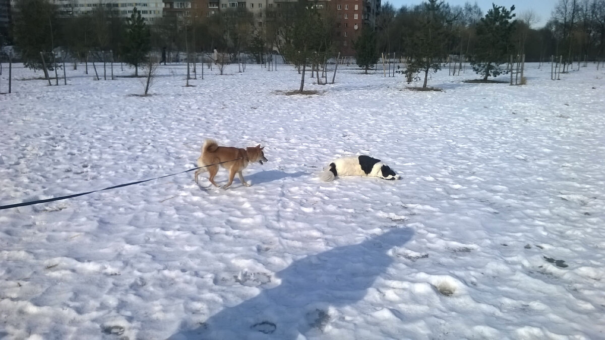 Приблизительно так)
