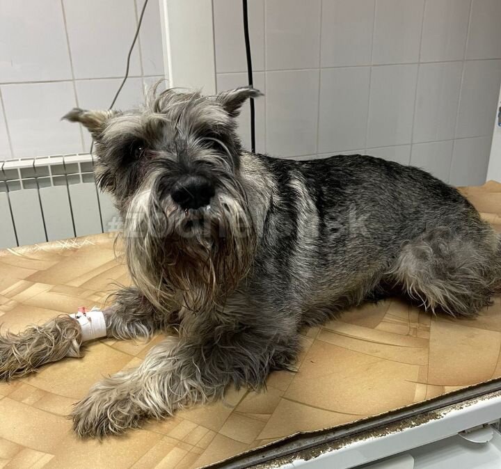 Егор в клинике