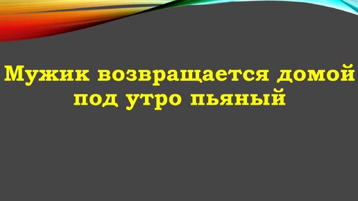 В Чехии остановили фуру с очень пьяным водителем-иностранцем: видео