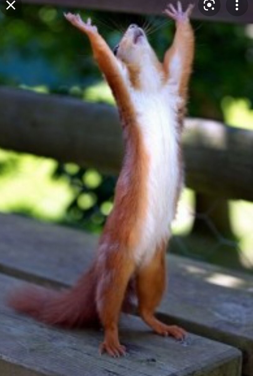 Из интернета 