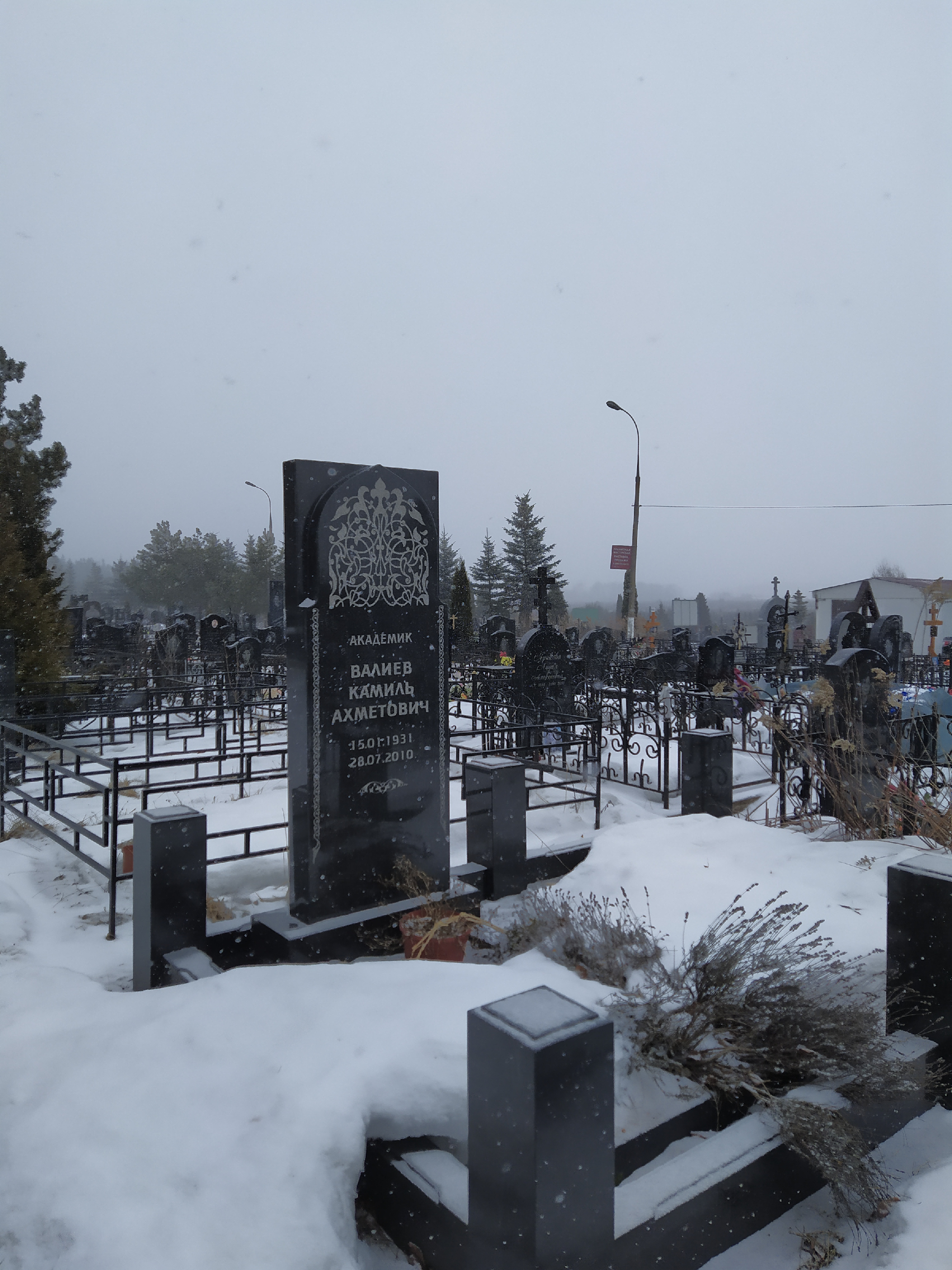 Наводевечьнвское кладбище Москва могилы знаменитостей