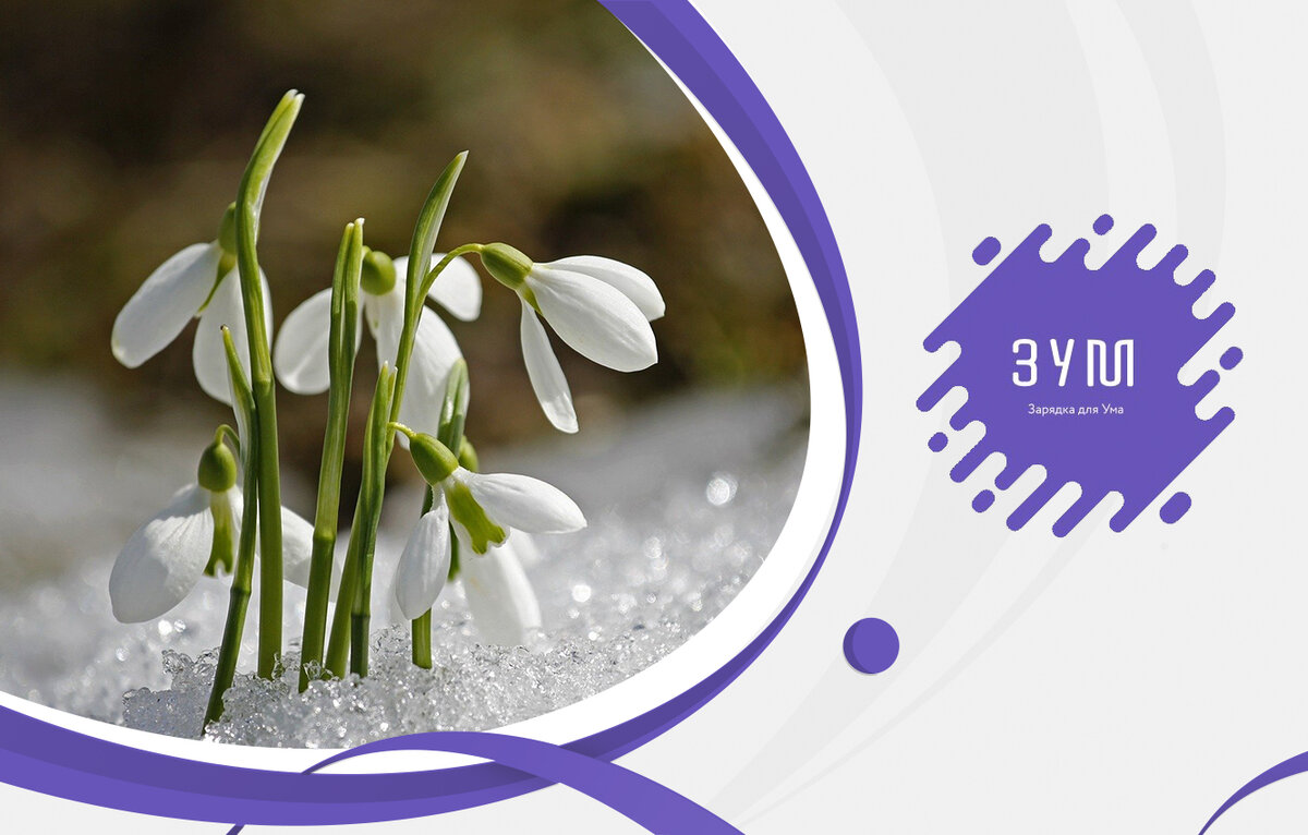 красноярск улица весны 17. красноярск ул весны 10 фото. улица весенняя саратов. Spring flowers. , 12.