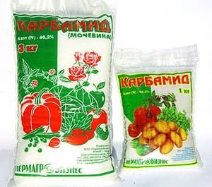 Через несколько недель (14-20 дней) после всходов, картофель уже можно и нужно подкармливать. В этот период растению требуются азотные подкормки (например, мочевина), что позволит значительно улучшить темпы развития картофельного куста. Особенно хорошо отразится такая подкормка на растениях, которые взошли позже и немного опаздывают в развитии. Основное требование к процедуре внесения подкормки – соблюдать дозировку.