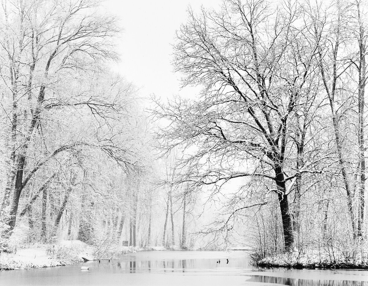 Максим Бедов. Первый снегопад, Середниково, 2021.