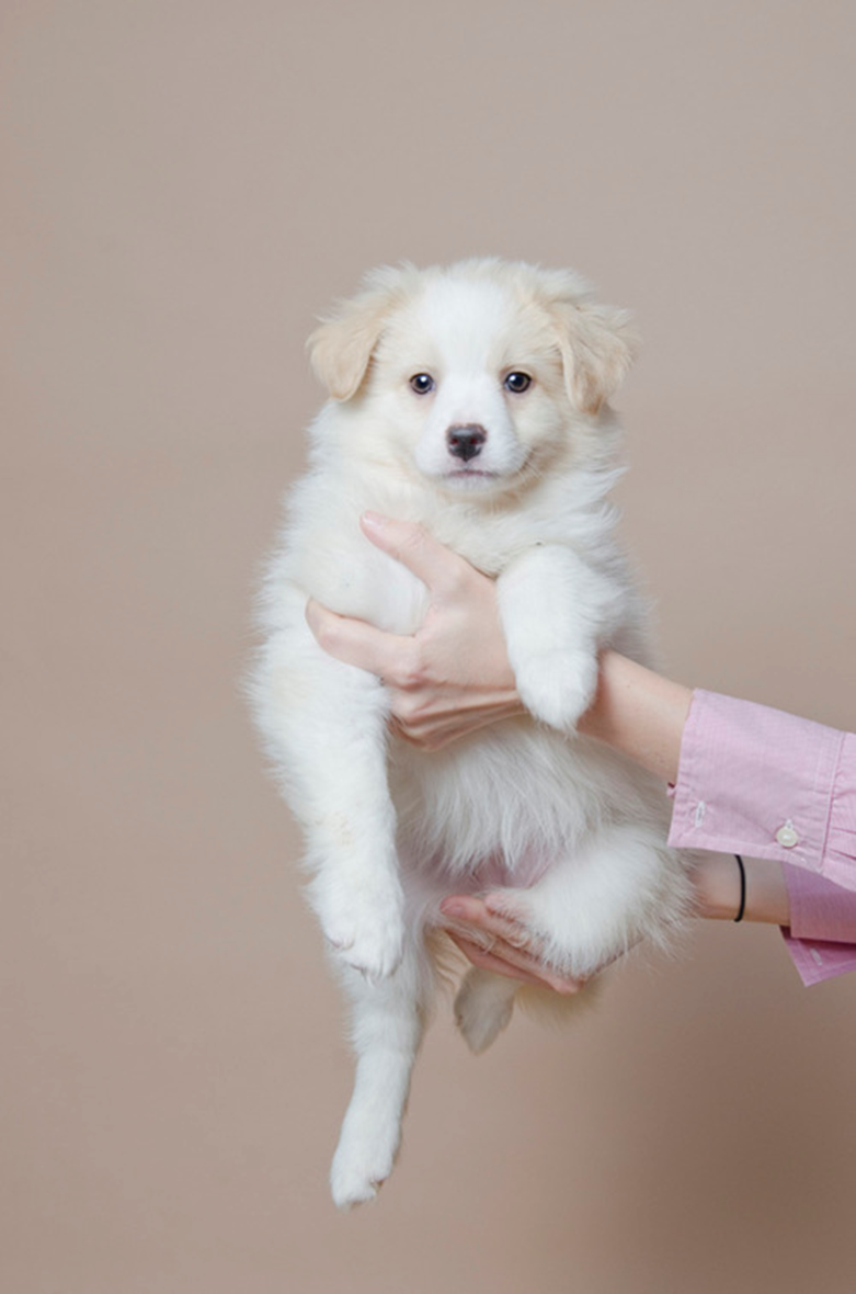 фото: Софи Гаманд