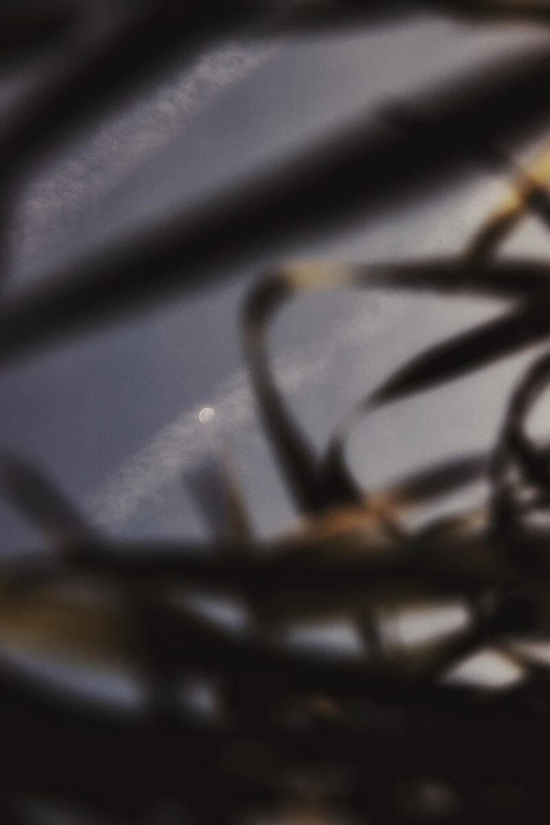 Россия, Липецкая область, Грязинский район