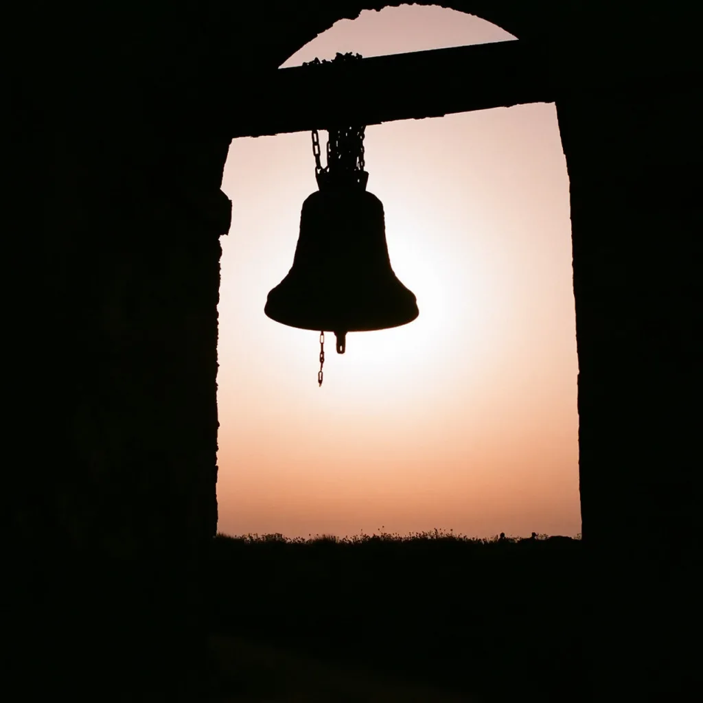 фото из открытого доступа