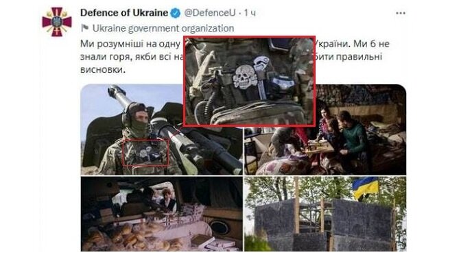 Фото с символикой СС в аккаунте украинского Минобороны в Twitter (скриншот: @rt_russian)