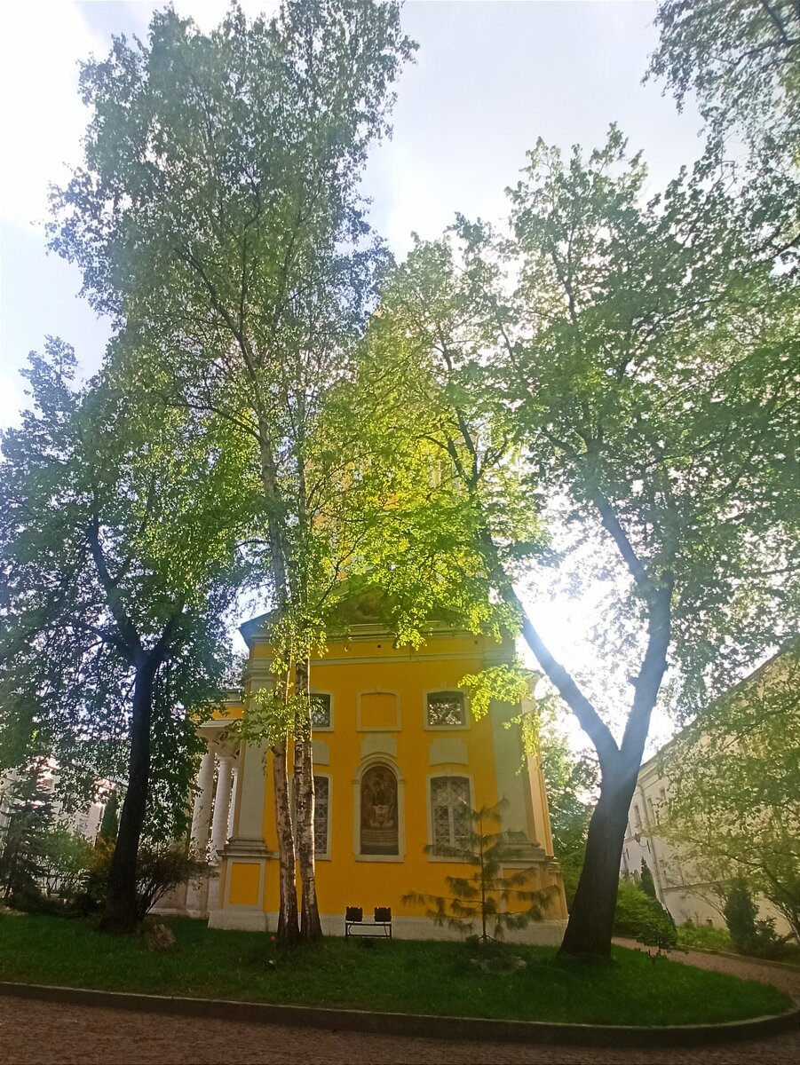 Фото: @morairalex