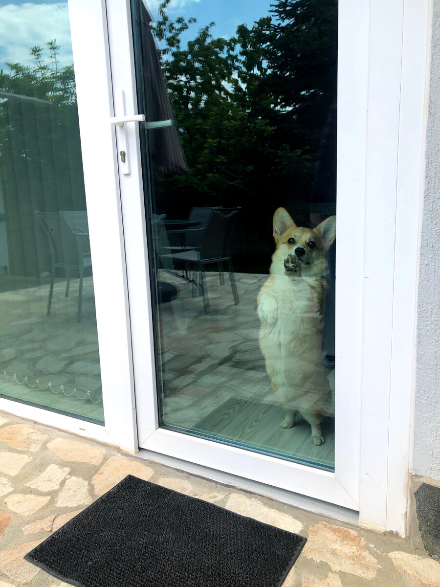 Асти не хочет оставаться одна в новом жилье.