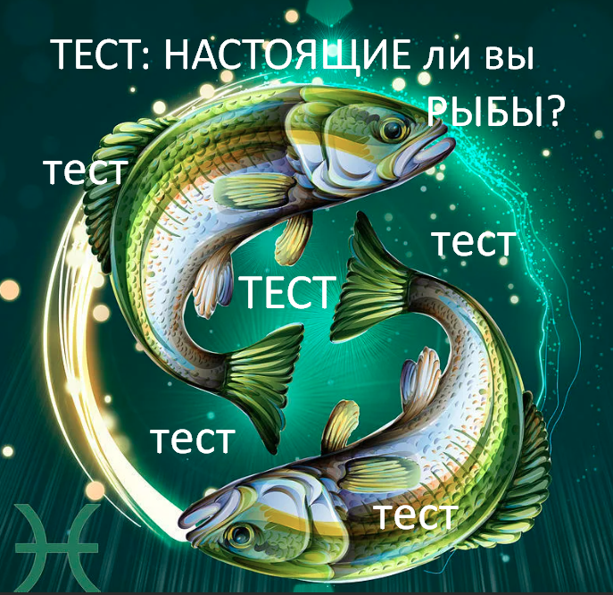 Фото из открытого источника Яндекс